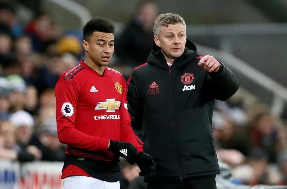 维奇的领导 维奇的领导